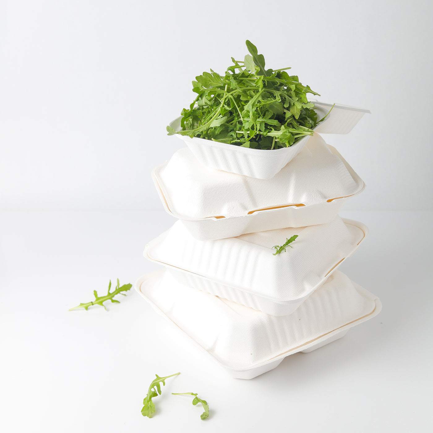 Take Out Containers 8" x 8" x 3" Sugarcane Bagasse 1-section Hinged Clamshells Compostable